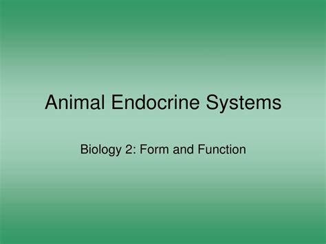 Ppt Animal Endocrine Systems Powerpoint Presentation Free Download