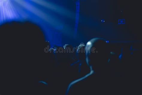 Silhouette of Crowd in a Night Club. Stock Image - Image of performance ...