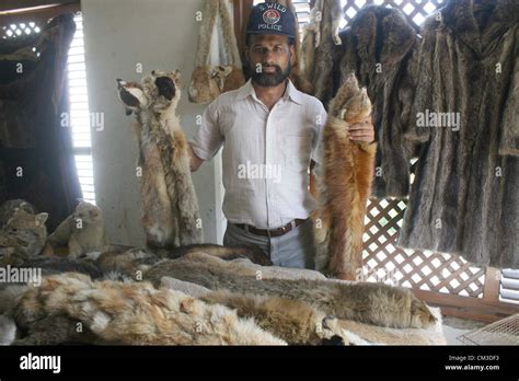 Sindh Wildlife Hi Res Stock Photography And Images Alamy