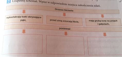 Uzupe Nij Schemat Wpisz W Odpowiednie Miejsca Zako Czenia Zda