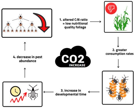 The Impact of Climate Change on Agricultural Insect Pests