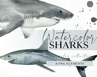 Watercolor Sharks Are Shown In This Image