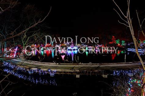 Cincinnati Zoo Festival of Lights Photos | Festival lights, Cincinnati ...