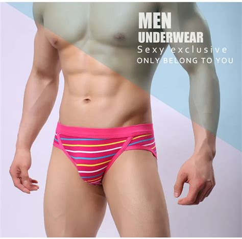 Low Waist Sexy Men Underwear Cotton Briefs Gay Penis Pouch Mens Bikini