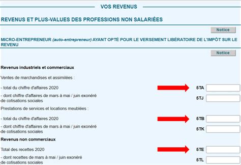 Déclaration De Revenus Auto Entrepreneur Facile Outils Infopreneur