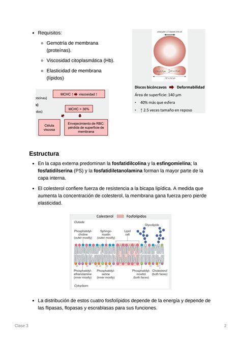 SOLUTION Resumen Hematolog A Upch Clase 3 Studypool