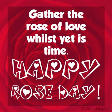 Rose Day Wishes Messages And Quotes Artofit