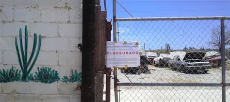 Profepa La Ley Al Servicio De La Naturaleza Clausura Profepa Centro