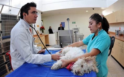 Facultad De Veterinaria De La UNAM Entre Las Mejores Del Mundo