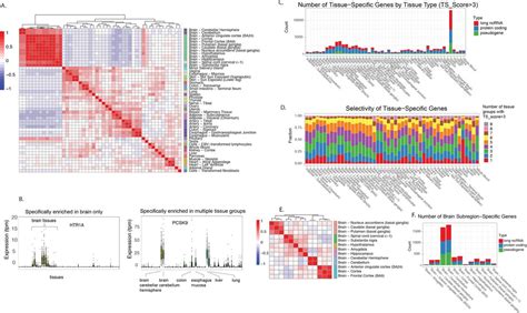 A Systematic Survey Of Human Tissue Specific Gene Expression And