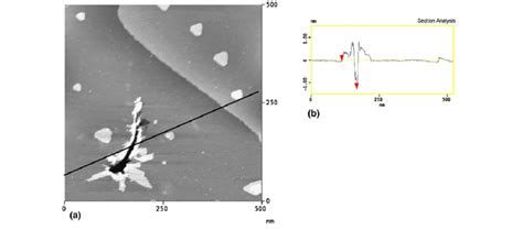 A Attempt Of Generating Nanostructures On Cu Upd Au Using A