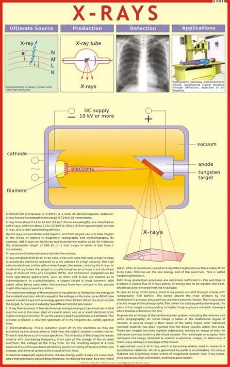 X- Ray Chart - Vidya Chitr Prakashan ( VCP )