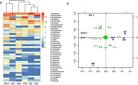 A Heatmap Displaying The Relative Abundances Of The Most Dominant Download Scientific Diagram