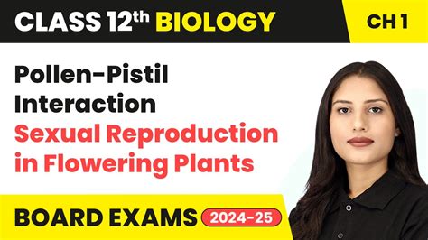 Pollen Pistil Interaction Sexual Reproduction In Plants Class