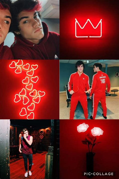 Red The Dolan Fam Amino