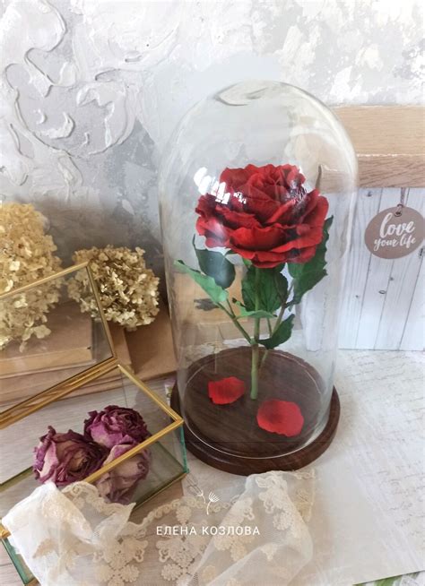 Роза красная в стеклянной колбе, как в сказке, из холодного фарфора в ...