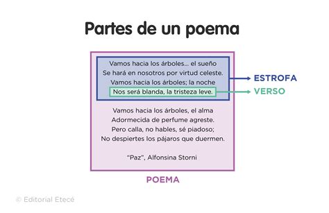 Tipos de estrofa características y ejemplos Lenguaje