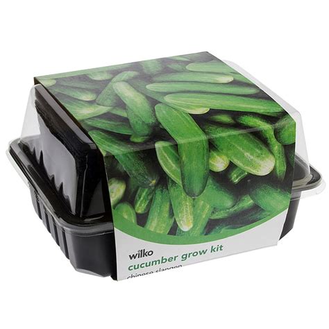 Wilko Cucumber Grow Kit Wilko