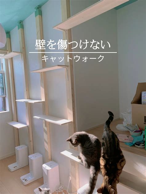 Catwalk Diy Without Damaging The Wall Gallery Posted By 猫5匹と暮らすみしゃっぽ