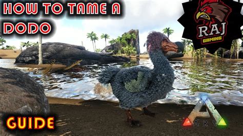 Ark How To Tame A Dodo Everything You Need To Know About Taming