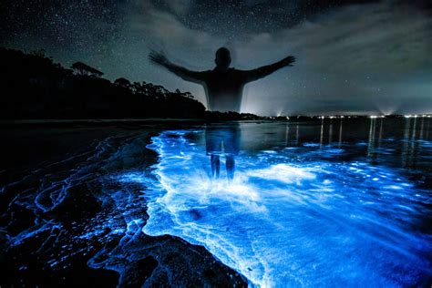 Bioluminescent Bays in Puerto Rico: Best Time to Go