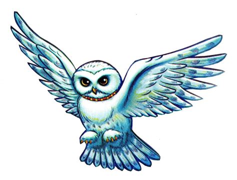 Harry Potter Owl Drawing | Free download on ClipArtMag