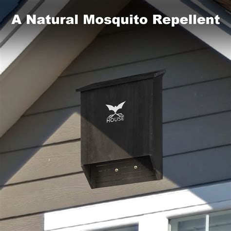 Snapklik.com : Bat Houses For Outdoors, 2 Chamber Big Bat Box For