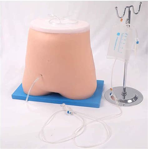 Anatomy Peritoneal Dialysis Model,Fistula Nepal | Ubuy