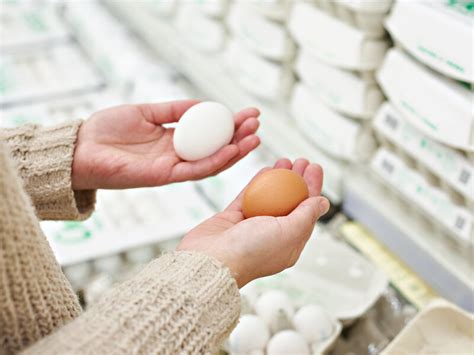 Fresh Egg Test How To Tell If Eggs Are Fresh At The Grocery Store