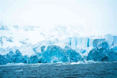 Falklands South Georgia Antarctic Peninsula Bunnik Tours