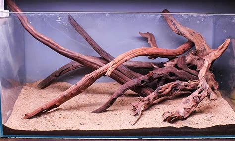 Aquarium Driftwood - SG Aquascapes