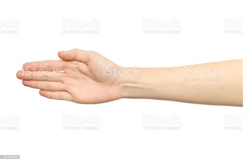 Womans Open Palm Isolated On White Background Stock Photo Download