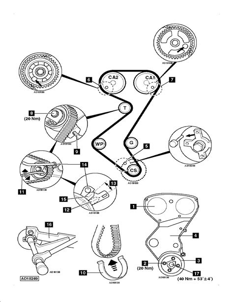 Peugeot 406 Timing Belt Installation Manual Videosgoodsite