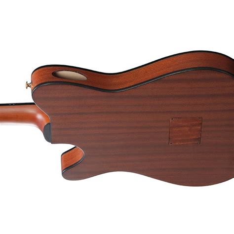 IBANEZ CHITARRA CLASSICA ELETTRIFICATA FRH10N NTF PickMusicShop