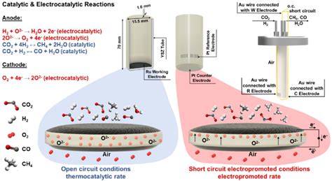 Schematic Representation Of The Tubular Sofc Reactor Highlighting The