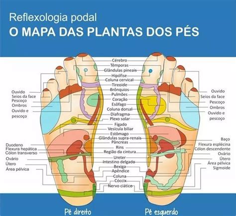 Reflexologia Podal Mapa Massoterapia E Shiatsu