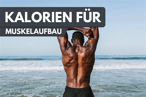 Muskelaufbau F R Anf Nger Training Ern Hrung Motivation Und Mehr