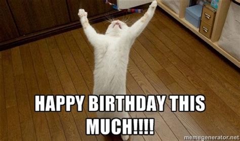 Funny Cat Birthday Memes For The Feline Lovers In Your Life