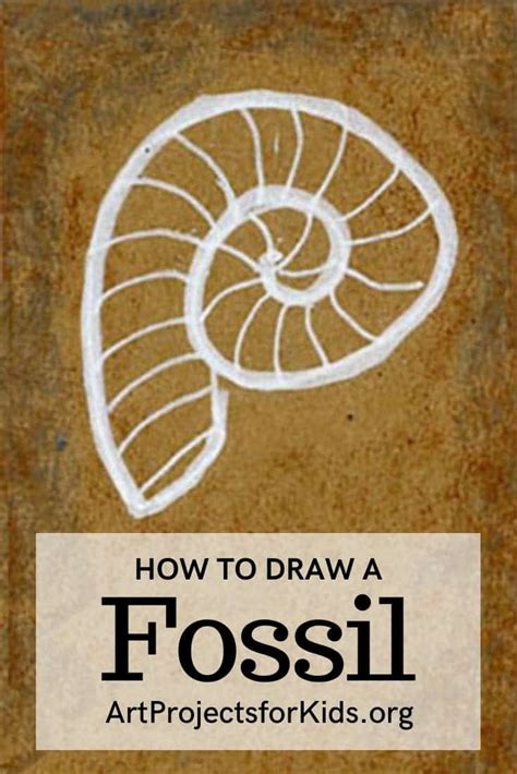 Easy How To Draw A Fossil Tutorial And Fossil Coloring Page Art