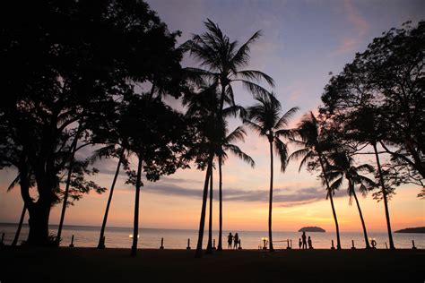 Free Images Sea Tree Horizon Silhouette Cloud Sky Wood Sun