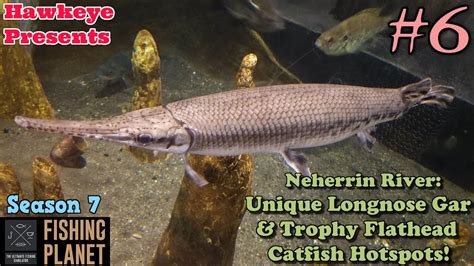 Fishing Planet S Neherrin River Unique Longnose Gar Trophy