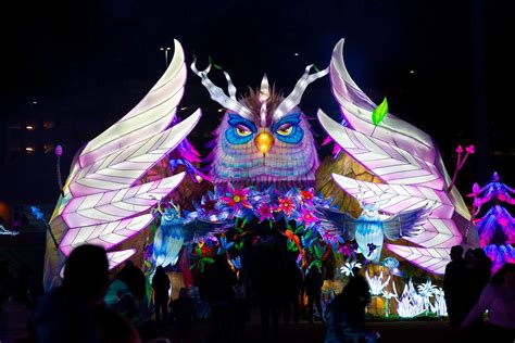 Tianyu Lights Festival Dallas Buy Tickets