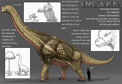 Brachiosaur Dossier By Thegreatestloverart On Deviantart