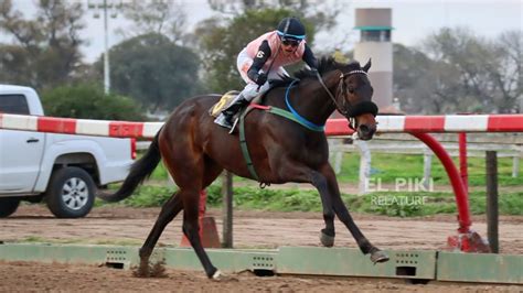 GRAN PREMIO SELECCIÓN Lo mejor de San Francisco Las Mejores