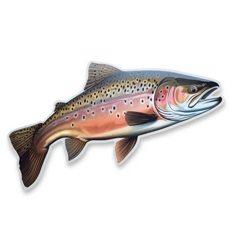 Premium Photo Hyperrealistic Rainbow Trout Fish Sticker On White