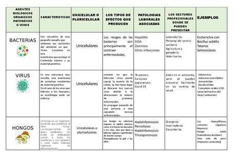 Cuadro Comparativo Sobre Las Características Morfológicas Y Fisiológicas De Los Agentes