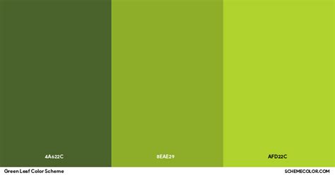 Green Leaf Color Scheme » Green » SchemeColor.com