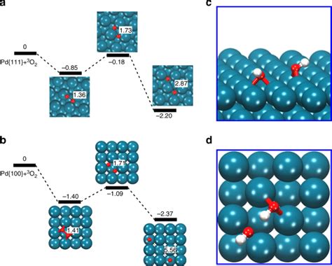 Differential Pd Nanocrystal Facets Demonstrate Distinct Antibacterial