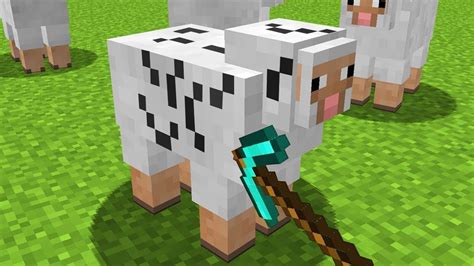 Como Minerar Uma Ovelha No Minecraft Youtube