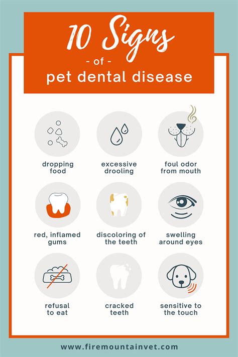 Is Your Pet Suffering From Dental Disease?